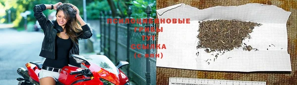 молекула духа Дмитриев