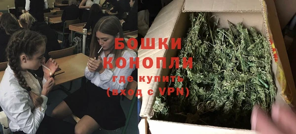 молекула духа Дмитриев