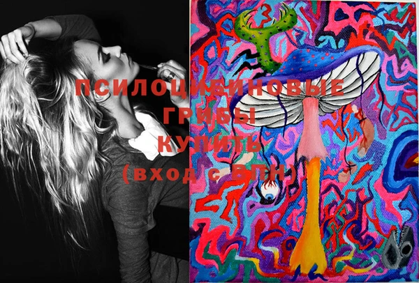молекула духа Дмитриев