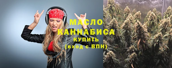 мет Дмитров