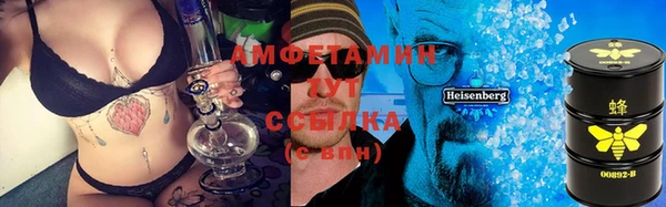 молекула духа Дмитриев
