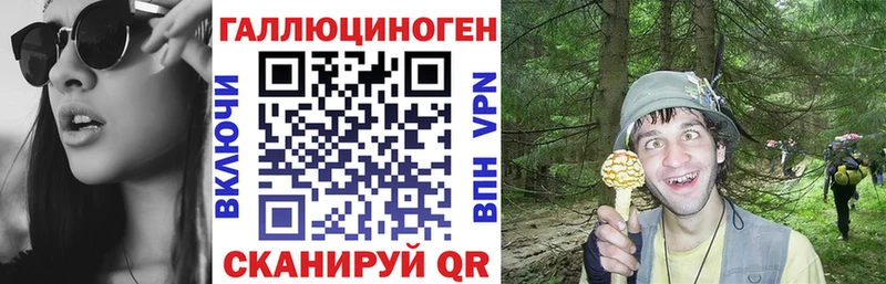 Псилоцибиновые грибы мицелий  Купить  Калининск 